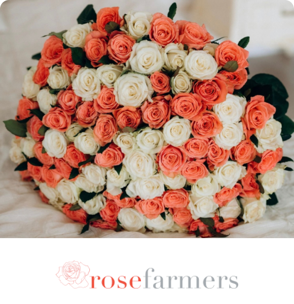 Rose Farmers