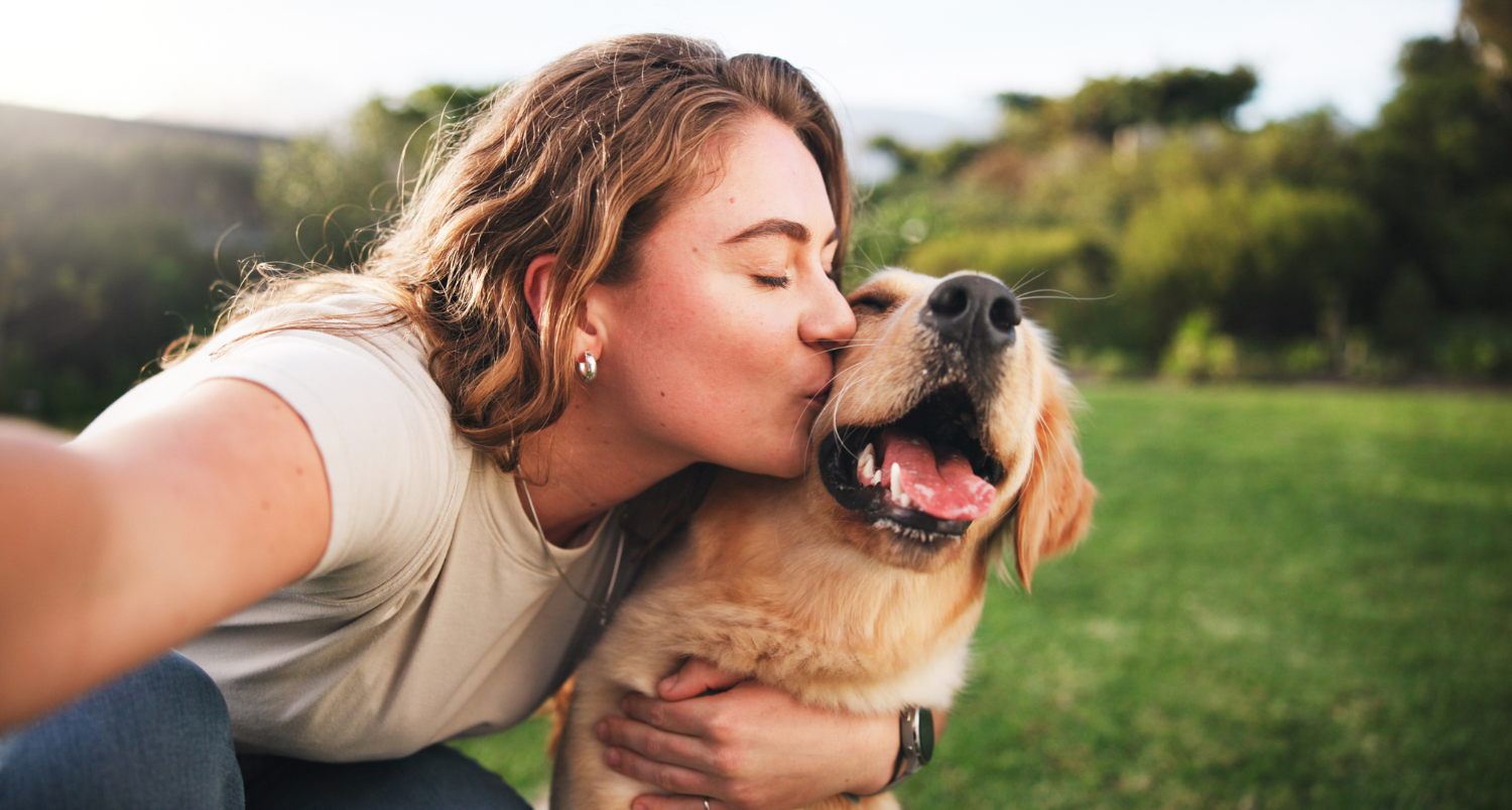 Fetch Pet Insurance