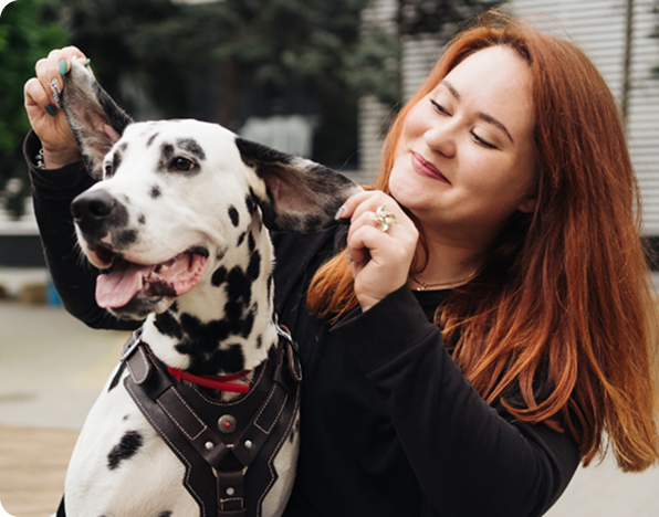 Spot Pet Insurance