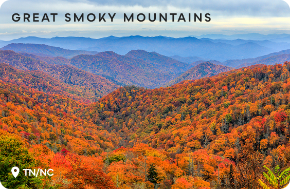 Great Smoky Mountains